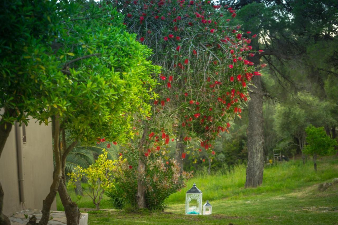 Forest Resort Suites Skiathos Troulos Exterior foto