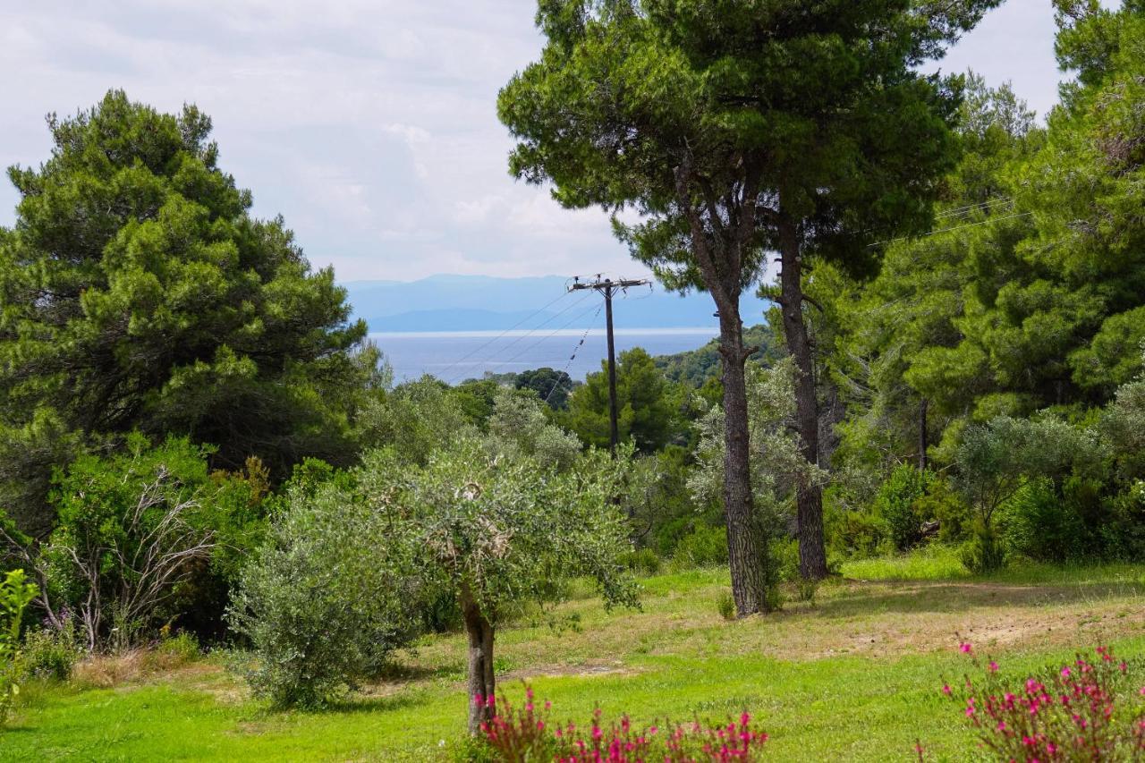 Forest Resort Suites Skiathos Troulos Exterior foto